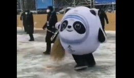 都市爆料冰墩墩视频大全,都市爆料视频大全带你领略冬奥萌宠风采